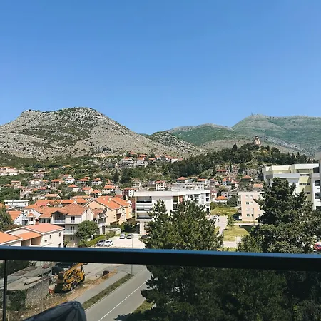 Maslina Trebinje